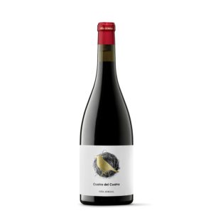 2020 Vina Zorzal “Quatro y Quatro” Navarra Graciano Red
